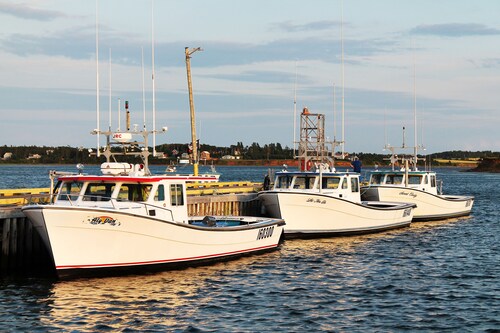 So Close To The Harbor/Beach You Can Taste The Salt  SALTOFTHEHARBOR #5