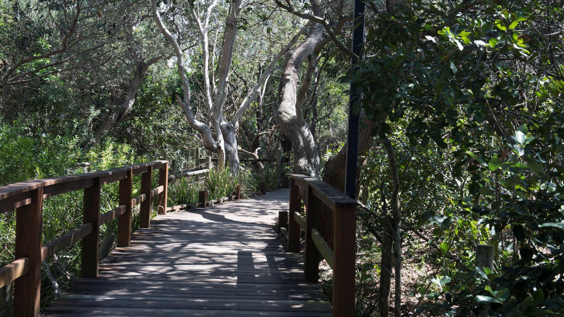 Illawong 4 - 2 Bedroom Unit just opposite the Beach — image 19