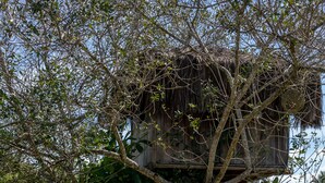 A tree with a wooden structure built into it, possibly a birdhouse or a decorative element, in a well-maintained garden with a swimming pool in the background. - Pousada Recanto Trancoso (Porto Seguro)