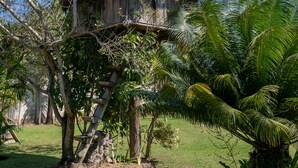 A treehouse with a thatched roof, surrounded by lush greenery and palm trees. - Pousada Recanto Trancoso (Porto Seguro)