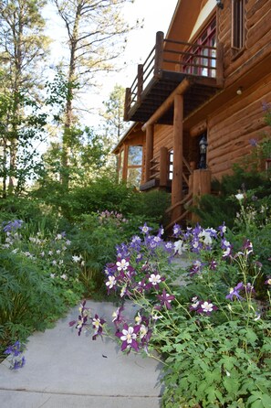 Exterior detail - Peaceful, private log home with exceptional views and amenities (Custer)