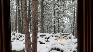 Vista emmarcada d'una escena nevada d'un bosc amb roques i arbres.