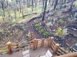 Property grounds - Peaceful, private log home with exceptional views and amenities (Custer)