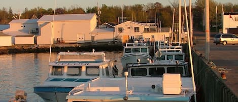 Marina