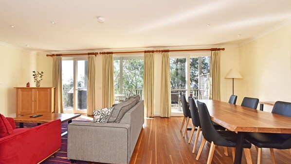 TV, fireplace, DVD player