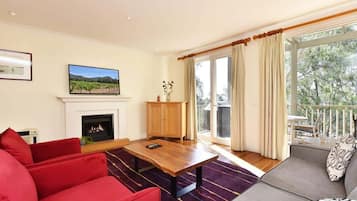 TV, fireplace, DVD player