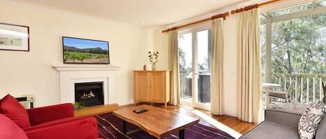 TV, fireplace, DVD player