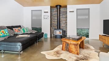 Smart TV, fireplace, DVD player, ping pong