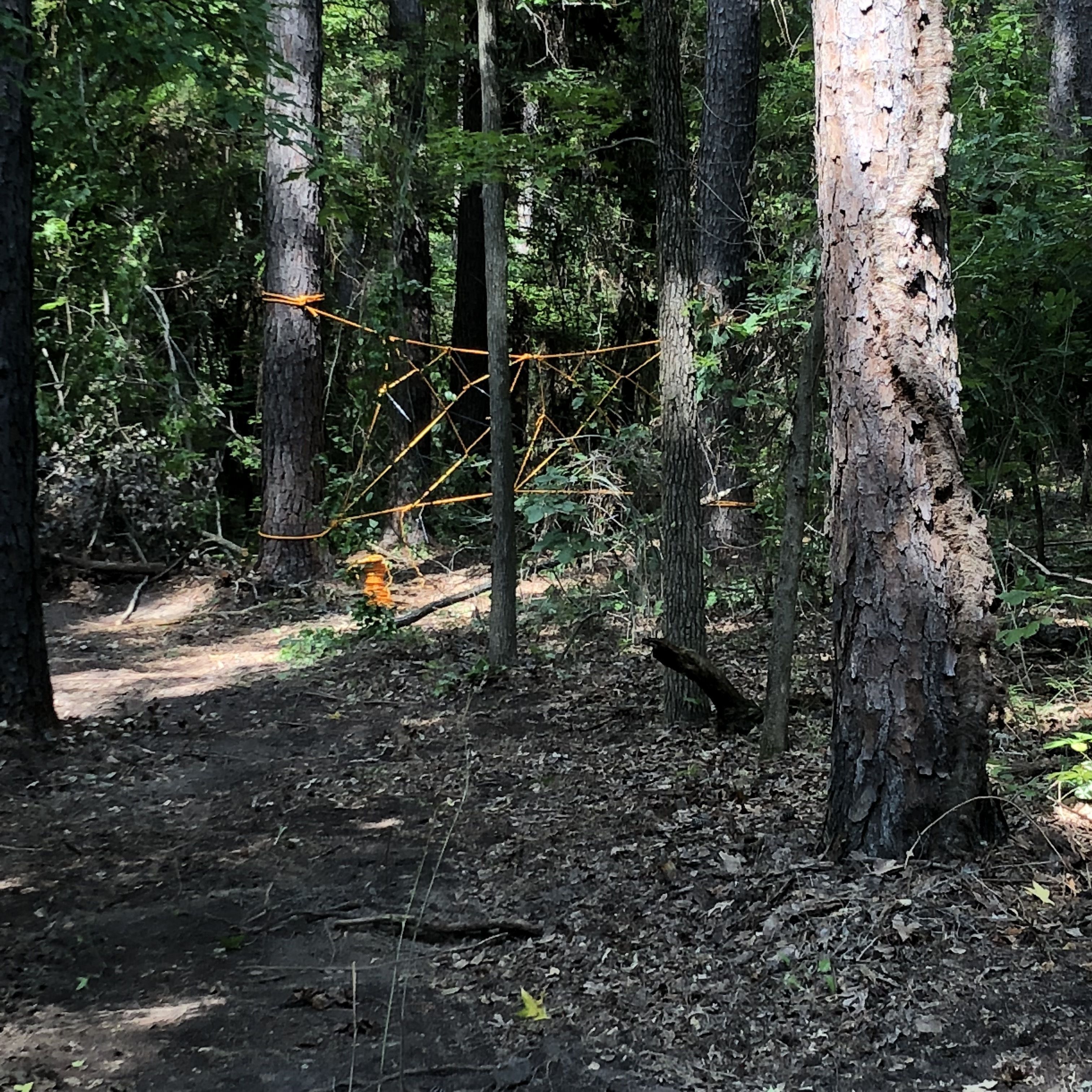 A forested area with a dirt path and a yellow object on the ground.