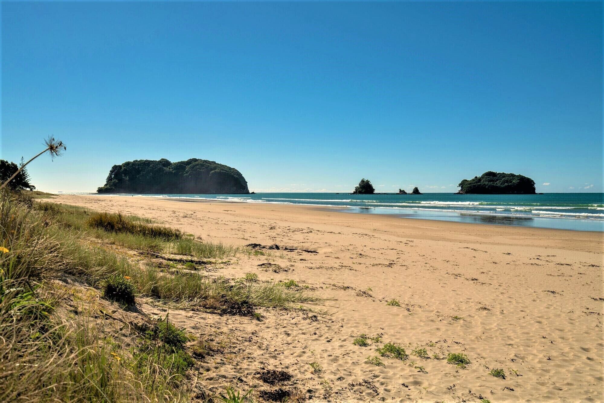 Una playa con cielos despejados, orilla de arena y afloramientos rocosos a lo lejos.