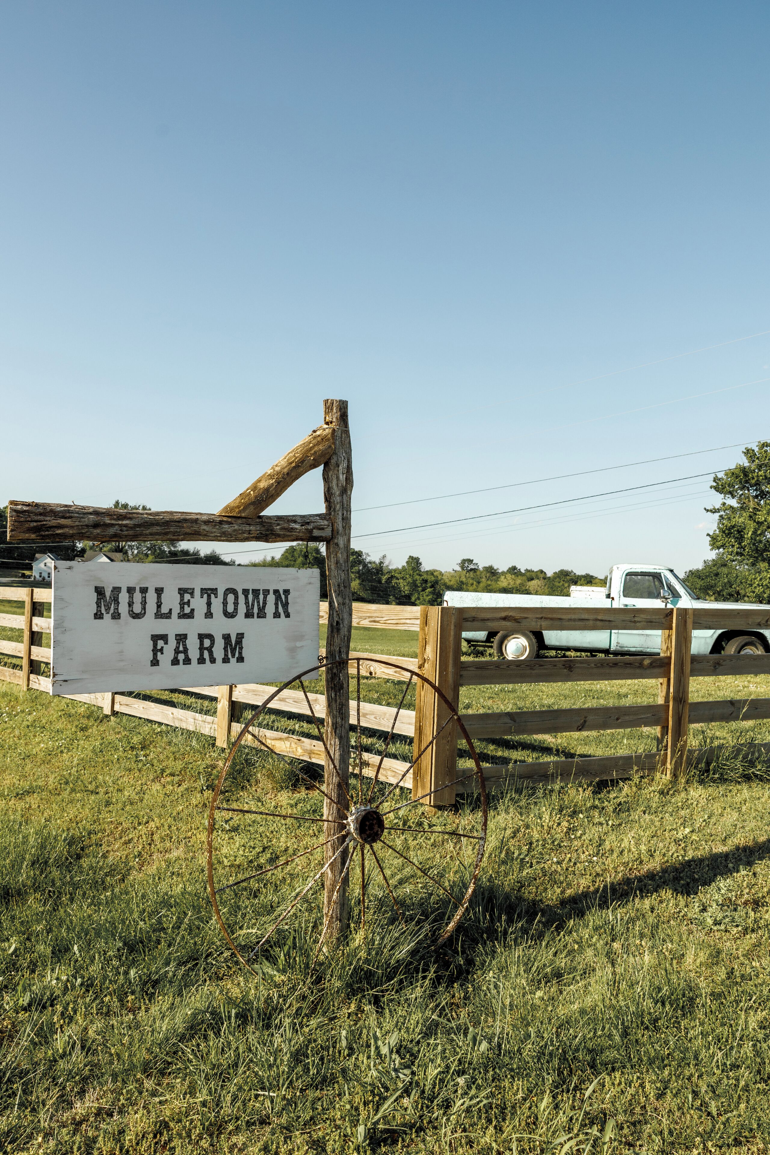 A sign reading 'Mule Town Farm' with a wooden fence and a white pickup truck in the background.