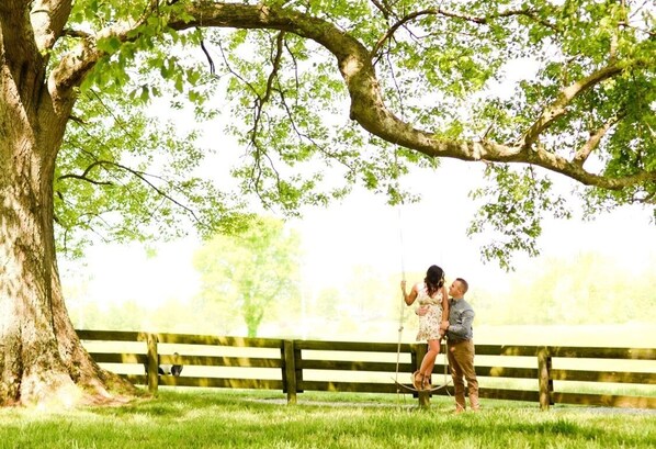 Enceinte de l’hébergement