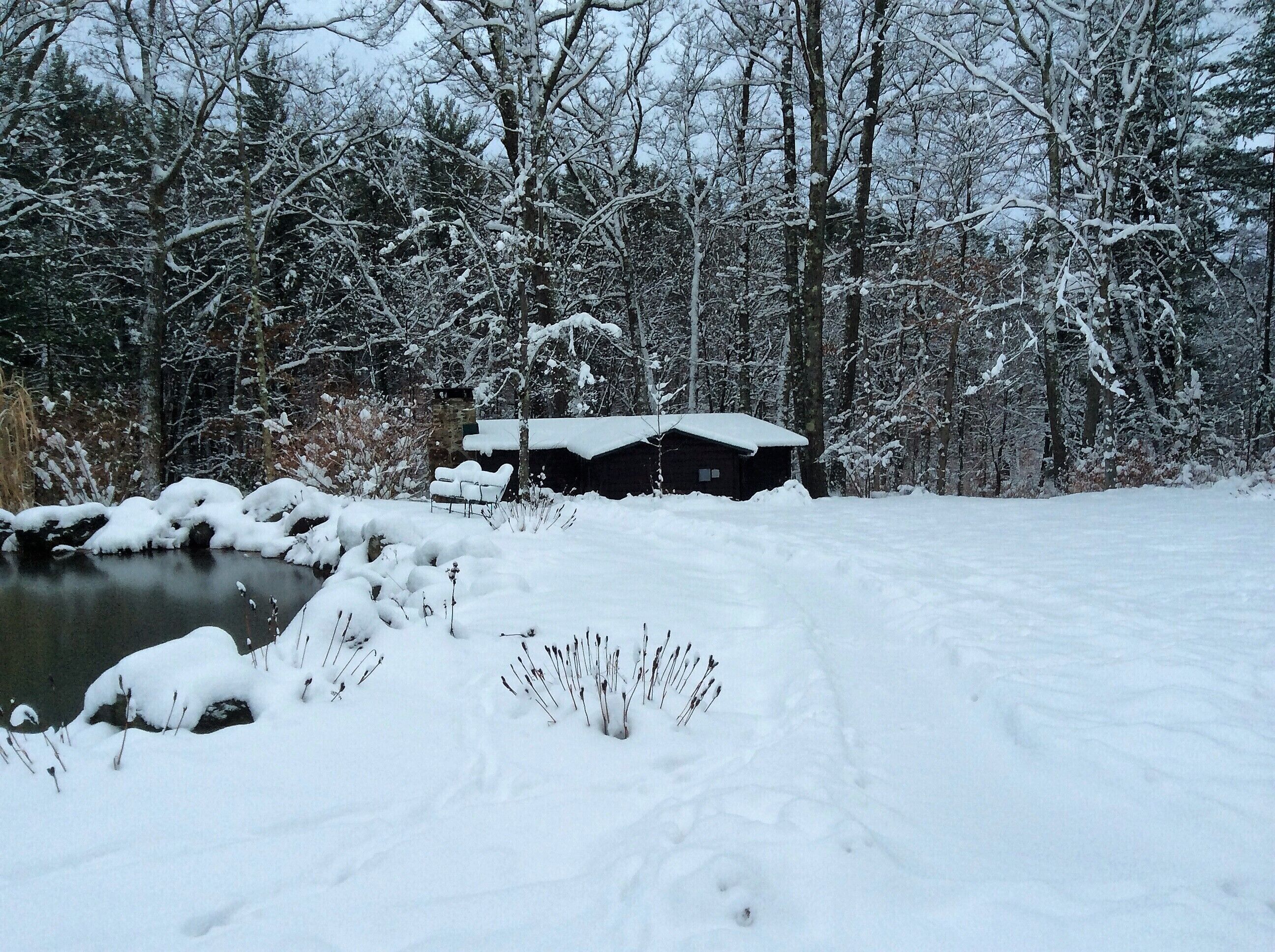 A cabin surrounded by snow-covered trees and a small pond.