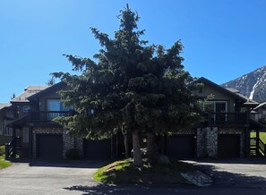 Ein zweistöckiges Haus mit einer Steinaußenwand, ein großer Nadelbaum davor und dahinter eine Bergkulisse.