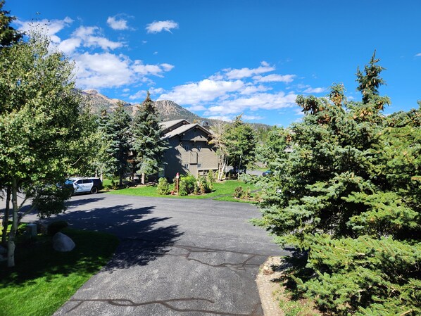 A residential area with a paved driveway leading to a house surrounded by trees and mountains in the background.