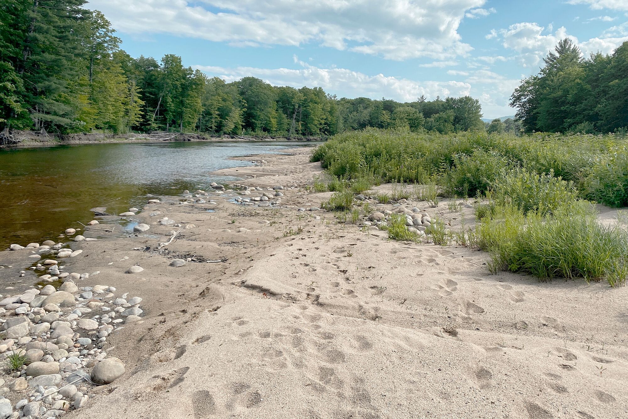 A riverbank with a sandy path, rocks, and dense greenery.