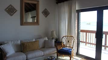 Smart-TV, DVD-spiller, bøker og filmbibliotek