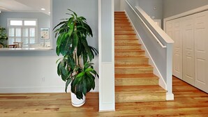 Una cocina amplia con una planta grande en maceta, piso de madera y una escalera que sube a un segundo piso.