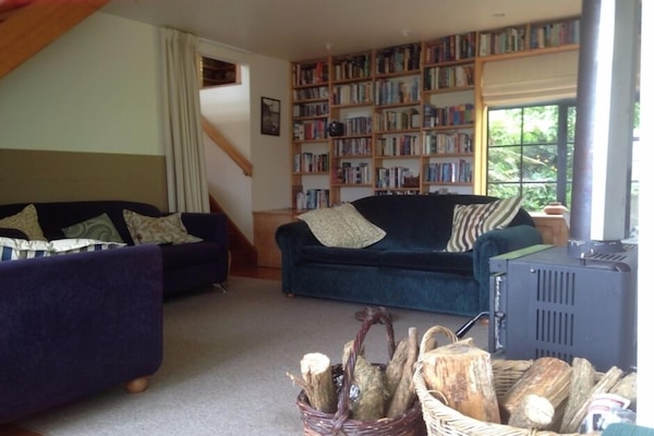 TV, lareira, DVD player, livros