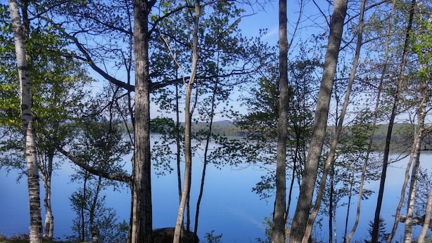 Puinen piknikpöytä, jonka ympärillä on kaksi punaista Adirondack-tuolia. Pöytä on sijoitettu nurmikolle, taustalla näkyy puita ja järvi.