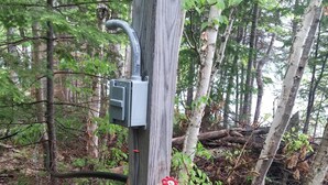 Metsäisellä alueella sijaitseva puinen sähköpylväs, jossa on metallinen kotelo ja punainen venttiili.
