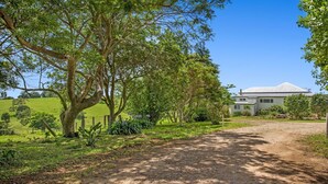 A rural property with a dirt path leading to a house surrounded by lush greenery and trees. - Bunya@Maleny Farm House (Witta)
