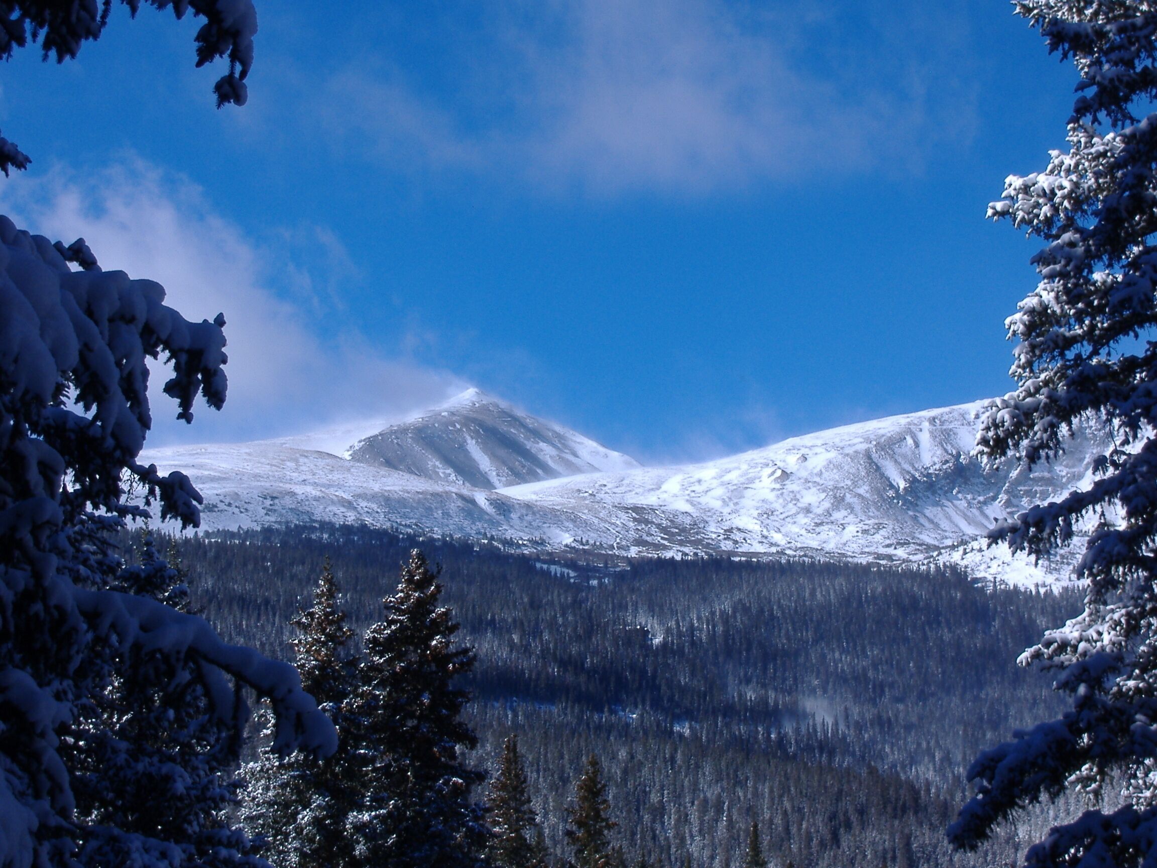 Un paisaje montañoso cubierto de nieve con bosques densos.