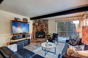 Smart TV, fireplace, DVD player, books