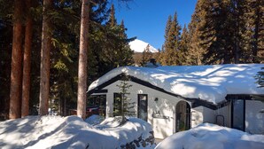 A cabin with a snow-covered roof, surrounded by tall pine trees and a snow-covered ground.