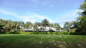 A large, open grassy area with a row of palm trees and a building with a white roof in the background.