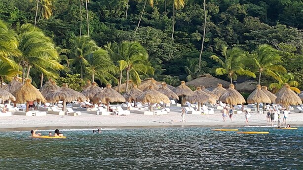 A beach with thatched umbrellas and lounge chairs, palm trees, and people swimming and sunbathing.