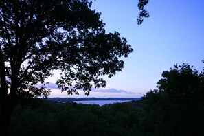 Eine natürliche Landschaft mit einem großen Baum im Vordergrund und Blick auf einen See und ferne Hügel.