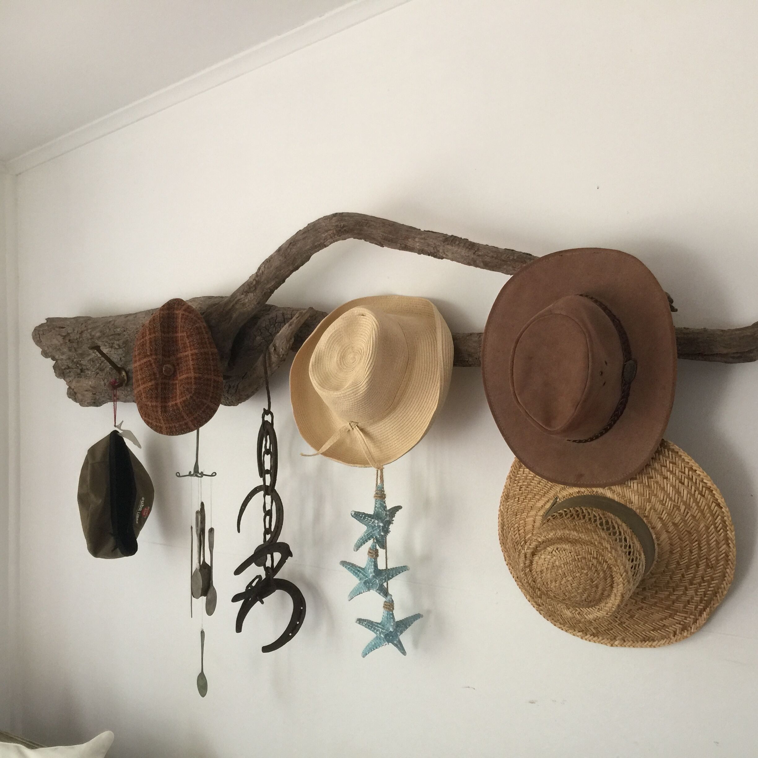 A wall-mounted display of various hats and accessories, including a branch, a starfish, and a spoon.