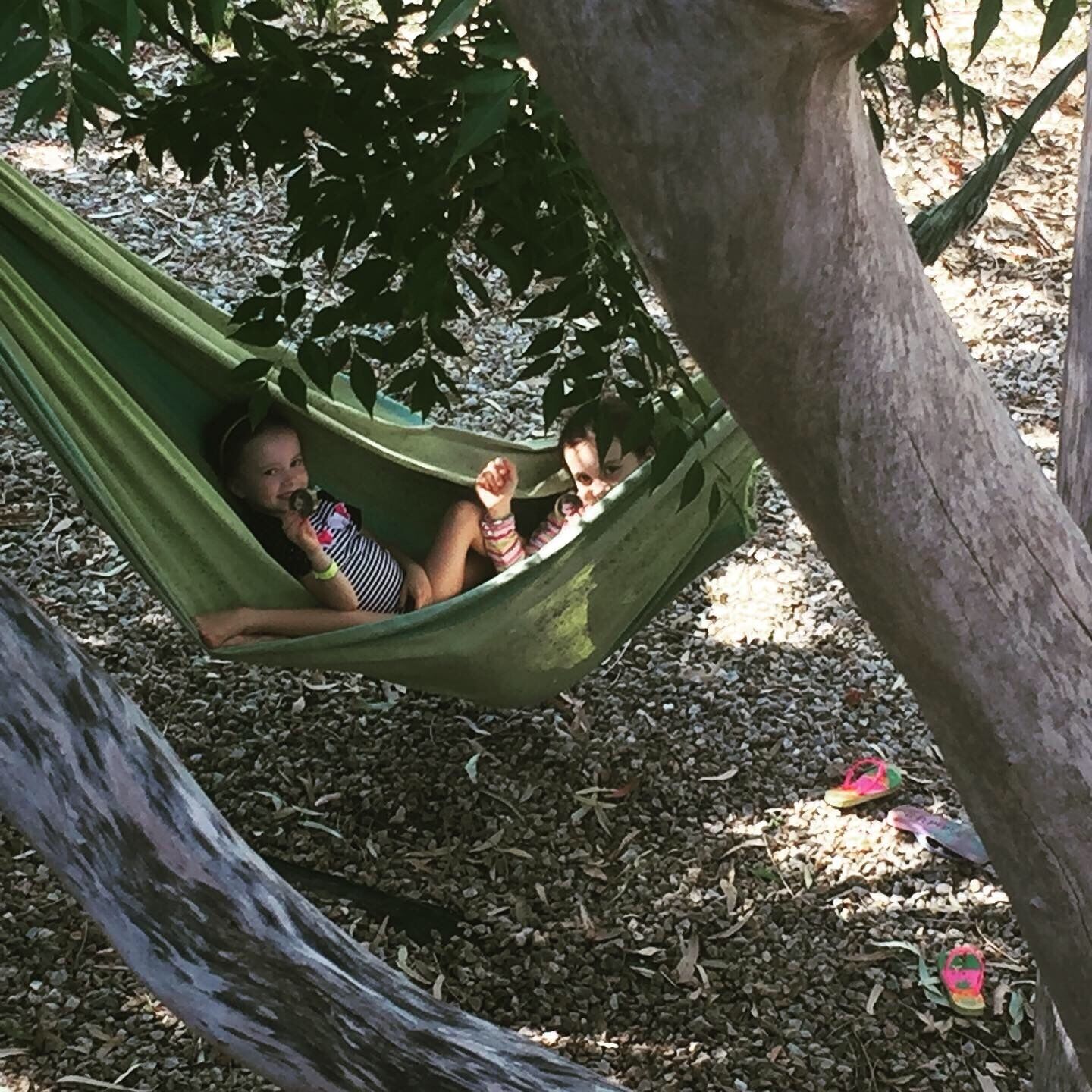 A hammock tied between two trees in a natural setting.
