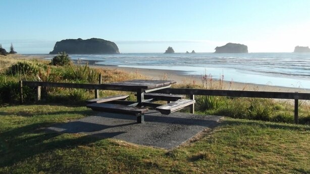 A picnic table with benches, a grassy area, and a view of the ocean with distant rock formations. - Tui's Rest Whangamata- DOGS WELCOME, suitable for families (Whangamata)
