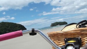 A beach view with a wicker basket on a bicycle. - Tui's Rest Whangamata- DOGS WELCOME, suitable for families (Whangamata)