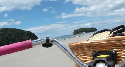 Tui's Rest Whangamata- DOGS WELCOME, suitable for families