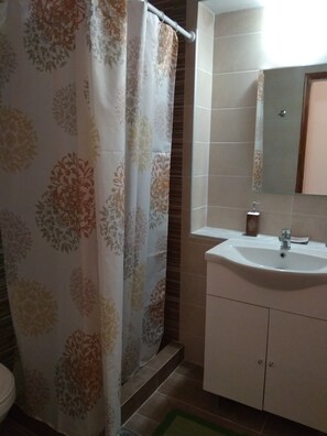 Shower, hair dryer, towels, shampoo