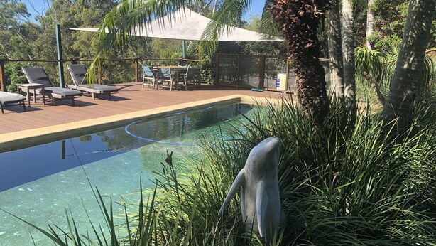 Une piscine entourée de végétation tropicale et de palmiers, avec des chaises longues et une table à proximité.