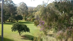 Un parc où l’on trouve une variété d’arbres, une pelouse et un petit arbuste aux fleurs violettes.