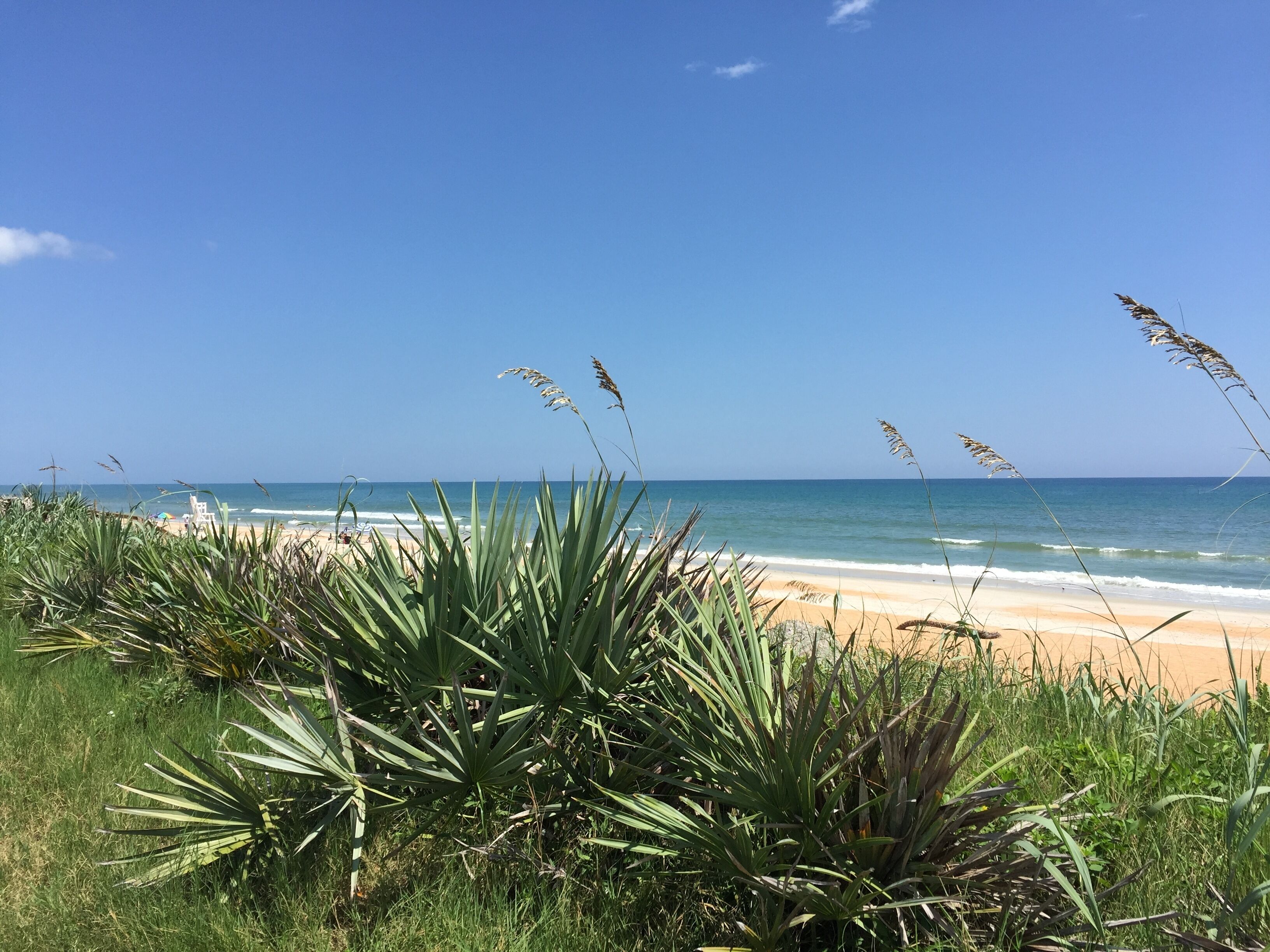 Chaises longues, serviettes de plage