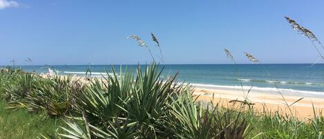 サンラウンジャー、ビーチタオル