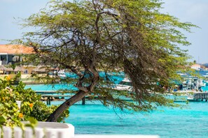 Pool - Charming oceanfront villa, great house reef near restaurant and dive operation (Kralendijk)