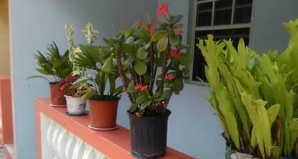 Tropical Getaway 5 mins drive to the beach the famous LaSagesse Beach.