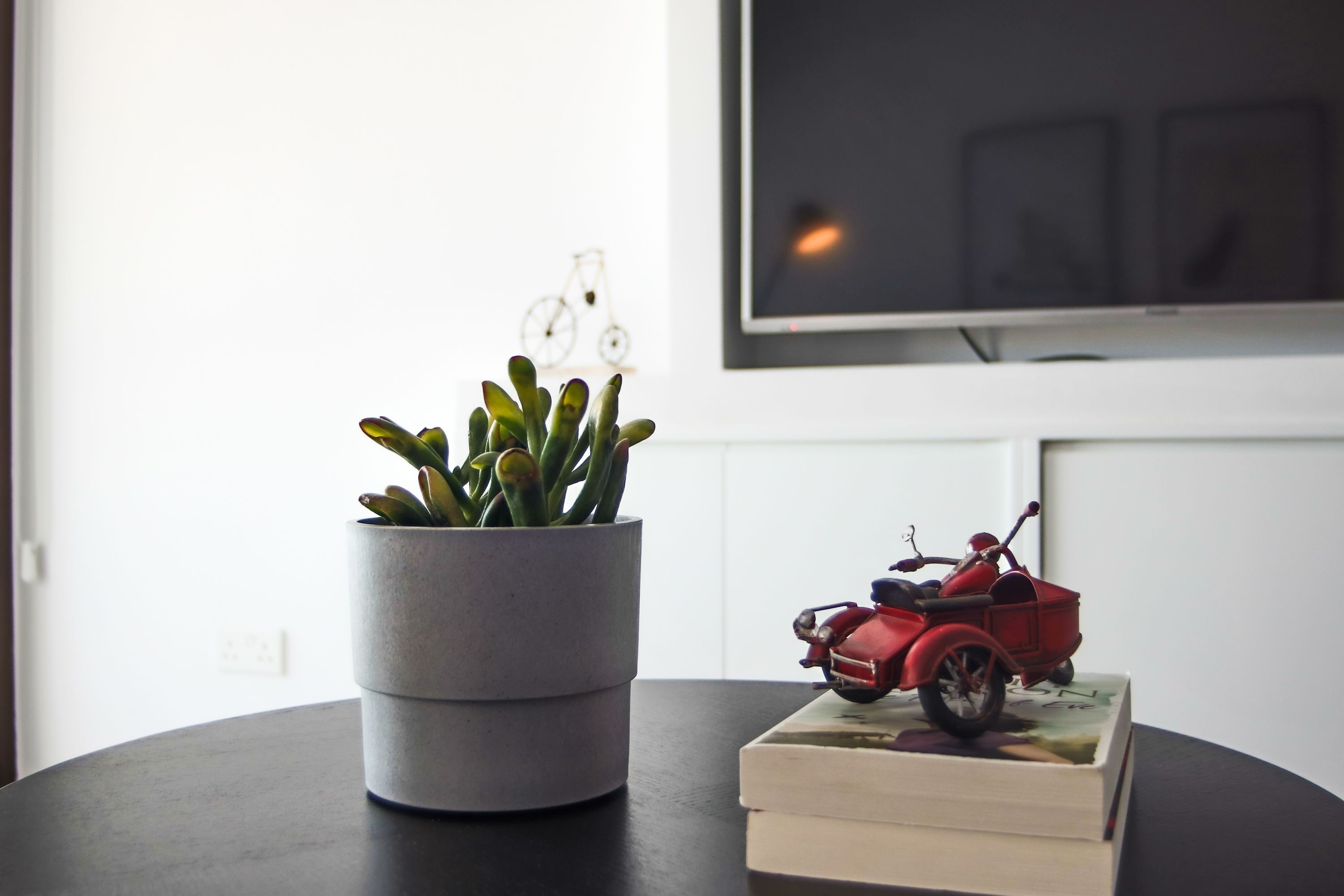 Una planta en maceta, una pila de libros y una moto de juguete sobre una mesa.