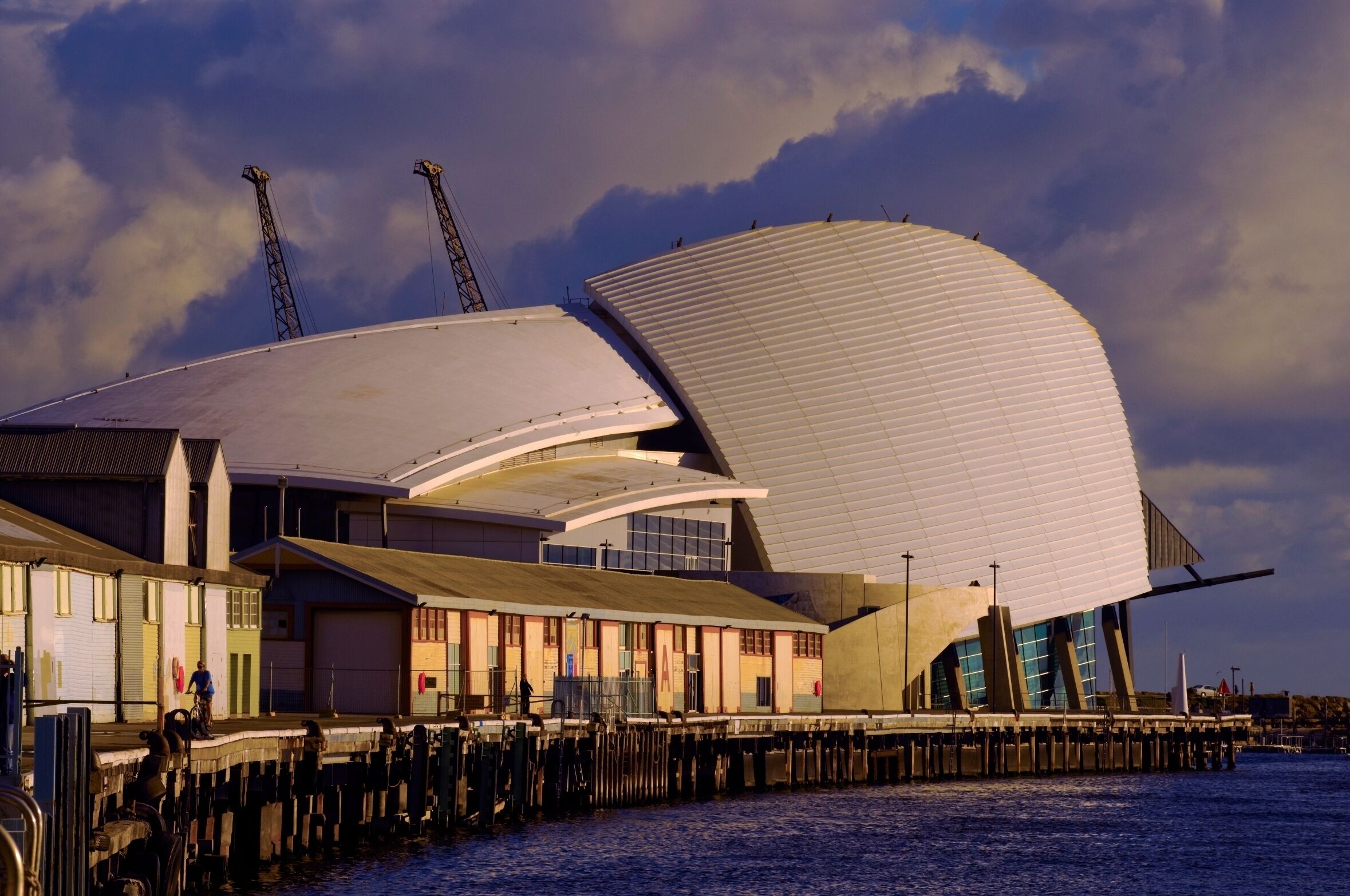 Oceanside 8 beach — image 27