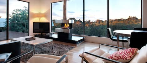 Living area | TV, fireplace, stereo