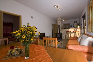Télévision à écran plat, cheminée, jeux vidéo, lecteur de DVD