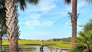 A person walking on a wooden bridge over a water body, surrounded by palm trees and a clear sky. - Cambridge 302 Beautiful Views from Large Oceanfront Balcony (Pawleys Island)