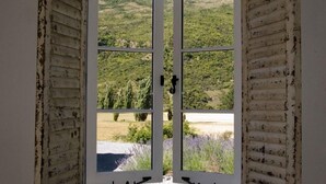 A view through a rustic wooden door with a view of a green landscape.